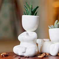 набор для выращивания eco йог в Екатеринбурге