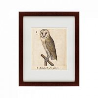 картина: one owl, 1560 в Екатеринбурге