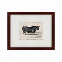 картина: a west highland bull, 1840 в Екатеринбурге