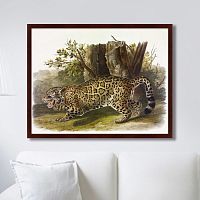 картина: jaguar, 1841г. в Екатеринбурге