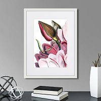 картина: himalaya plants pink-flower on white iv, 1869г. в Екатеринбурге