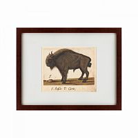 картина: bison, 1560 в Екатеринбурге