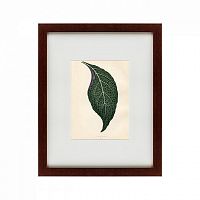 картина: the leaf, 1871 в Екатеринбурге
