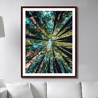 картина: deep forest в Екатеринбурге