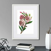 картина: caribian flora pink gardenia flower branch, 1740г. в Екатеринбурге