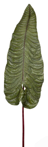 декор alocasia в Екатеринбурге