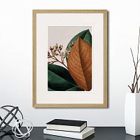 картина: exotic plants of the world №14, 1815г. в Екатеринбурге