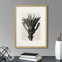 картина: botanical philosophy of forms №8, 1912г. в Екатеринбурге