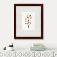 картина: pear tree flowers (pyrus calleryana), 1830 в Екатеринбурге