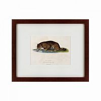картина: a panther drinking, 1830 в Екатеринбурге