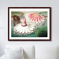 картина: water lily during bloom, 1870г. в Екатеринбурге