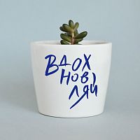 набор для выращивания eco мини-кашпо «вдохновляй» в Екатеринбурге