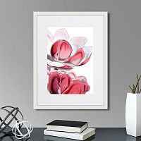 картина: himalaya plants pink-flower on white iii, 1869г. в Екатеринбурге