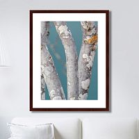 картина: trees on the galapagos islands, ecuador no1 в Екатеринбурге