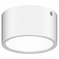 уличный светодиодный светильник lightstar zolla 380164 в Екатеринбурге