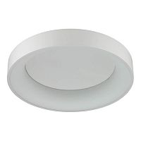 потолочный светодиодный светильник odeon light sole 4062/40cl в Екатеринбурге