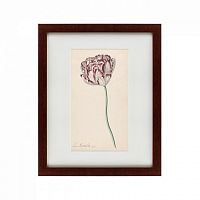картина: tulp №2, 1815 в Екатеринбурге