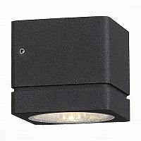 уличный настенный светодиодный светильник st luce coctobus sl563.401.01 в Екатеринбурге