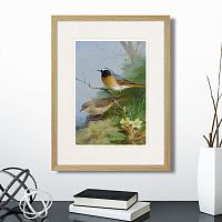 картина: pair of redstarts, 1923г. в Екатеринбурге