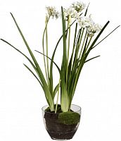 декор allium в Екатеринбурге