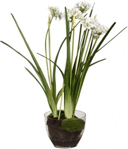 декор allium в Екатеринбурге