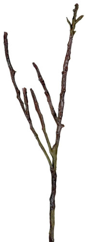 декор dry branches в Екатеринбурге