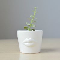 набор для выращивания eco мини-кашпо «губы» в Екатеринбурге