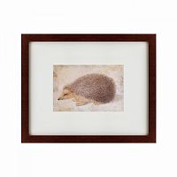 картина: a hedgehog, 1584 в Екатеринбурге