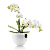 горшок для орхидеи orchid pot белый в Екатеринбурге