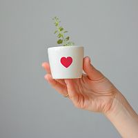 набор для выращивания eco мини-кашпо «сердце» в Екатеринбурге