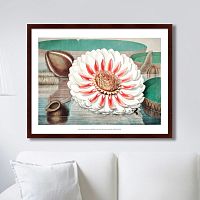 картина: a gigantic water lily in bloom, 1870г. в Екатеринбурге