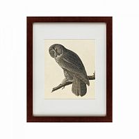 картина: great gray owl, 1834 в Екатеринбурге
