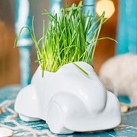набор для выращивания eco машина в Екатеринбурге