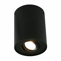 потолочный светильник arte lamp a5644pl-1bk в Екатеринбурге