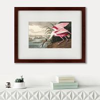 картина: roseate spoonbill, 1827 в Екатеринбурге