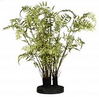 декор ferns в Екатеринбурге