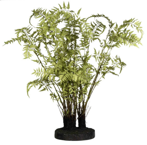 декор ferns в Екатеринбурге
