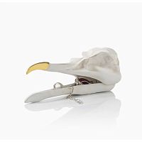 шкатулка для украшений bird skull (белый) в Екатеринбурге