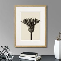 картина: botanical philosophy of forms №5, 1912г. в Екатеринбурге