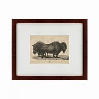 картина: bison, 1828 в Екатеринбурге