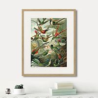 картина: art forms of nature №1, 1897г. в Екатеринбурге