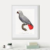 картина: beautiful parrots №2, 1872г. в Екатеринбурге