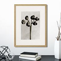 картина: botanical philosophy of forms №4, 1912г. в Екатеринбурге