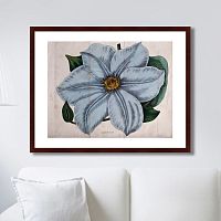 картина: exotic plants of the world №13, 1815г. в Екатеринбурге