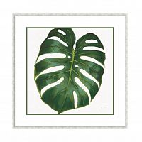 постер monstera зеленый в Екатеринбурге