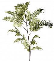 декор fl12056 (giant fern) в Екатеринбурге