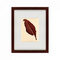 картина: the dark red leaf, 1881 в Екатеринбурге