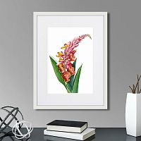 картина: caribian flora pink alpinia, 1740г. в Екатеринбурге