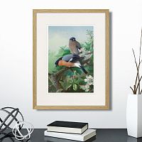 картина: bullfinches, 1915г. в Екатеринбурге
