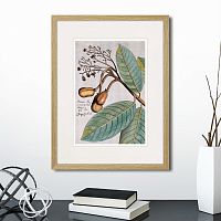 картина: exotic plants of the world №5, 1815 (i) в Екатеринбурге